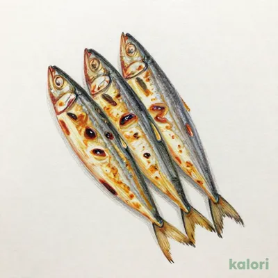 ししゃもの一夜干し