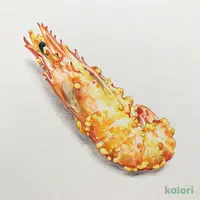 天然大海老