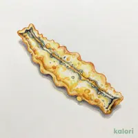 活〆穴子切身