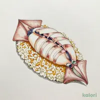 Squid