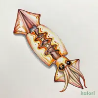 いかの一夜干し