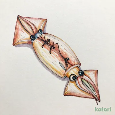 とんでん特製いか塩辛