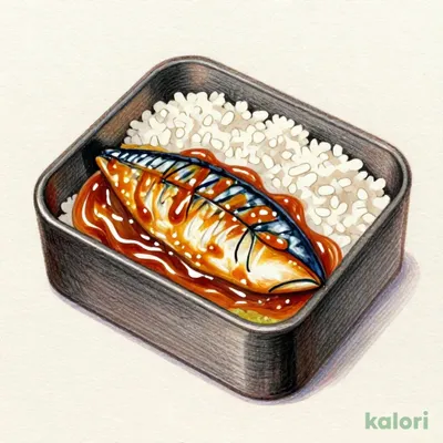 持 さばの味噌煮弁当
