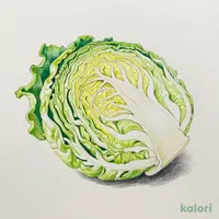Easy to Useそのまま使えるざく切りキャベツ
