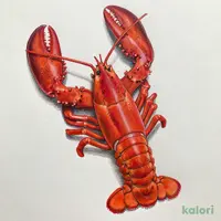 MSC認証ボイルアメリカンロブスター(-18℃)