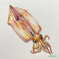 Ika Somen (Squid Sashimi Strips)