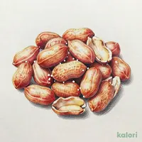 うす皮付ピーナッツ