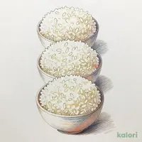 ごはん 会津産コシヒカリ3個パック