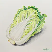 ざく切り白菜
