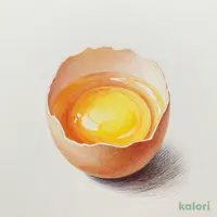 オーガニック 平飼いたまご