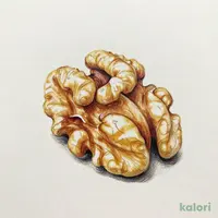 Dinaft Raw Walnuts