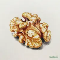 ディナフト 素焼きくるみ