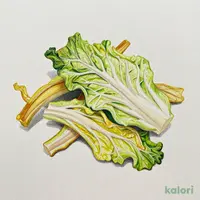 国産素材のおいしさそのまま! キャベツ