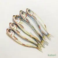 Boiled Whitebait
