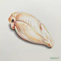 国産鶏肉使用サラダチキン(むね肉・プレーン)