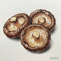 大分産・原木栽培 中小葉椎茸