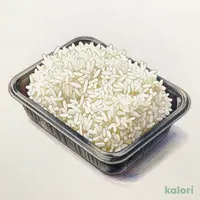 大盛ごはん 国産米