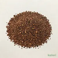 Instant Coffee (Spray-Dried)