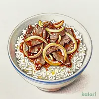 Beef Bowl Topping
