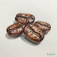 Kilimanjaro Blend Coffee Beans