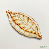 笹かまぼこ