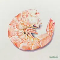背わた処理済みですぐに使えるむきえび特大