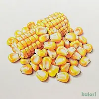 イージートゥユース カーネルコーン (チリ産)