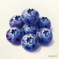 オーガニック ブルーベリー