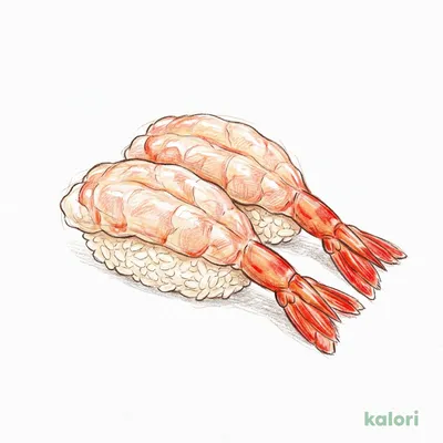 天然生えびの握り