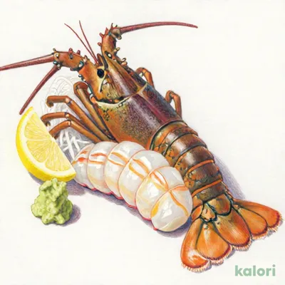 『絶品』伊勢海老の姿造り(味噌汁付き)
