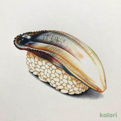 生ほっき（一貫）