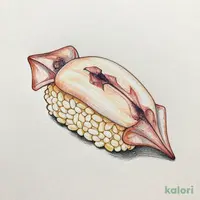真いか（1貫）