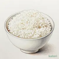 白ごはん