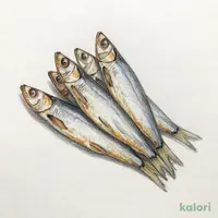 上乾うるめいわし