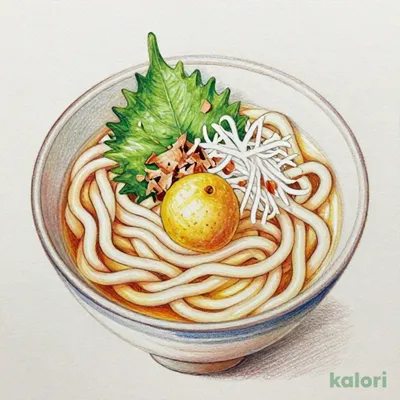 紀州南高梅のおうどん