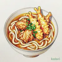 鶏天カレーのおうどん