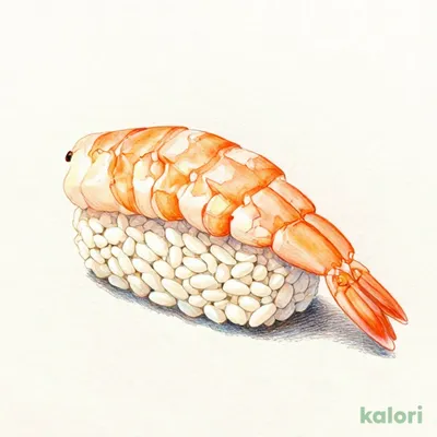 Raw Shrimp Nigiri Sushi