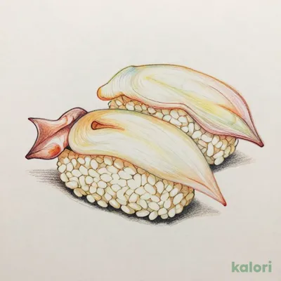 Squid