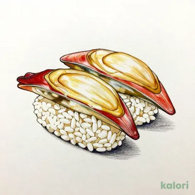Surf Clam
