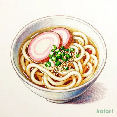 Lunch Kake Udon