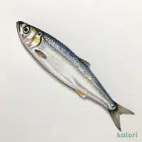 いわし