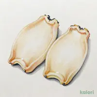 つぶ貝