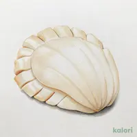 平貝