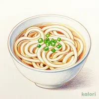 Udon Noodles (After-Meal)
