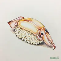 Squid Tentacle Sushi (1 pc)