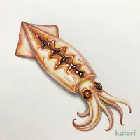 いか沖漬け風一夜干し