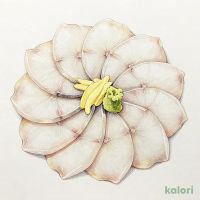 ひらめの薄造り