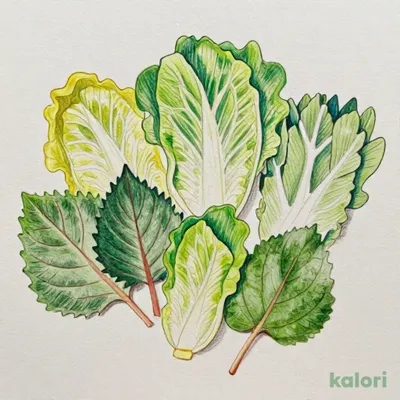 包み野菜8種セット