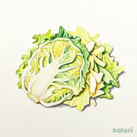 Cabbage
