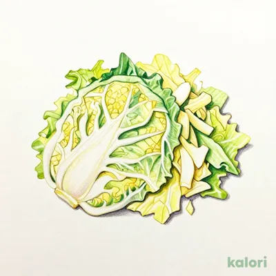 Cabbage
